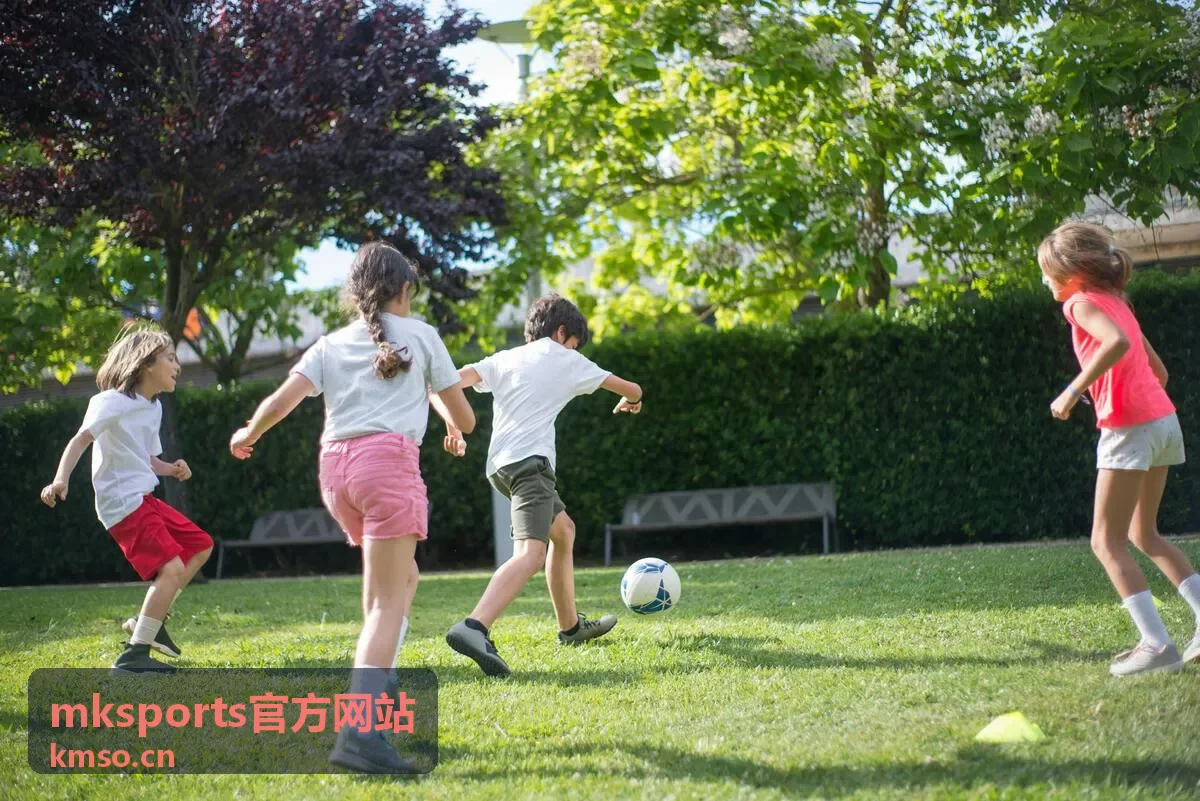 mksports官方网站积分构成说明配图