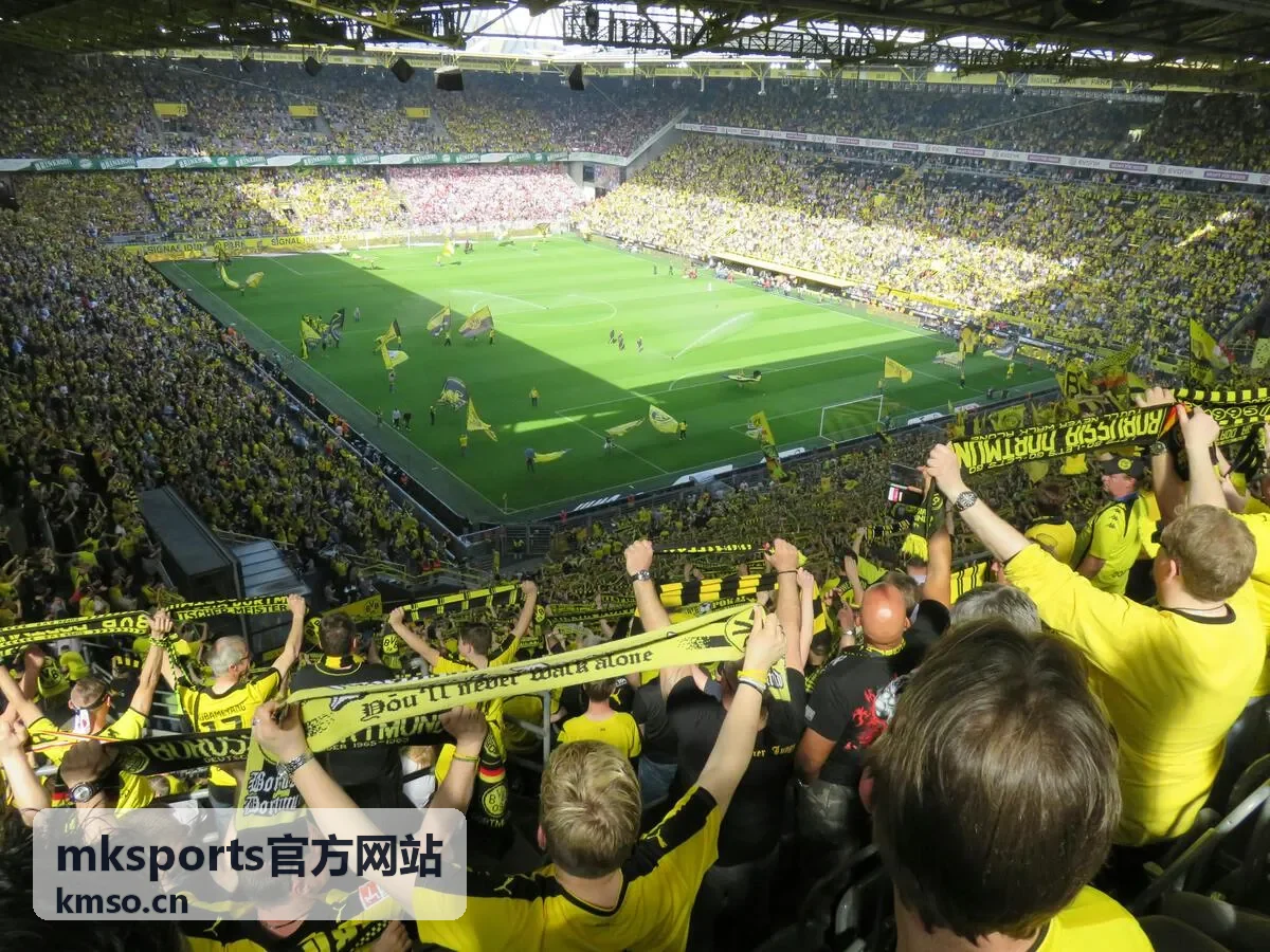 mksports官方网站连续参与奖励说明配图